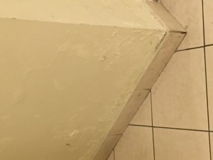 muro con muffa